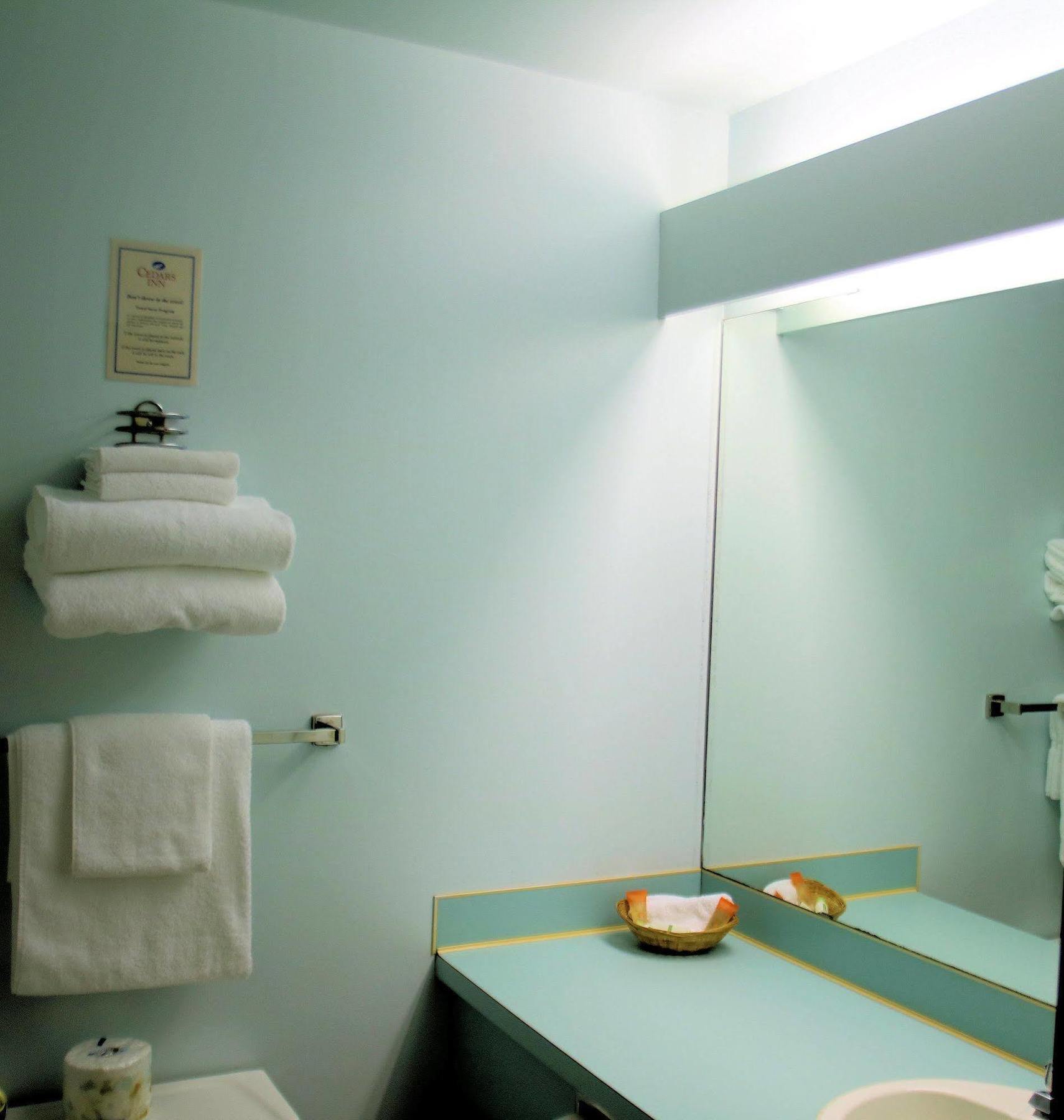 Hotel The Cedars & Convention Centre 3*